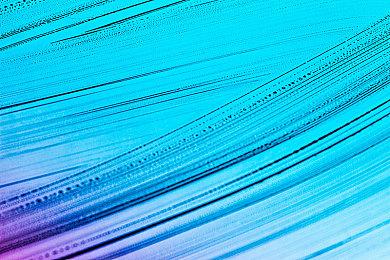 发售不到三年 《极限竞速：地平线5》玩家数突破4000万